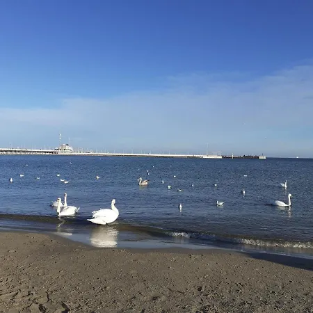 Chopina 5 M5 - Centrum Sopotu 3 Min Do Monciaka Lägenhet Sopot